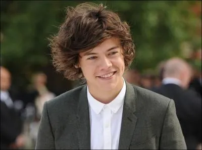 Quelle est la chose qu'Harry aime beaucoup faire ?