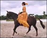 Quelle est cette discipline ?