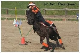 Quelle est cette discipline ?