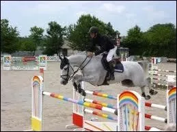 Quelle est cette discipline ?