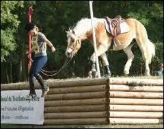 Quelle est cette discipline ?