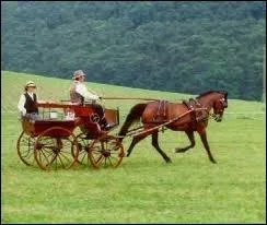 Quelle est cette discipline ?