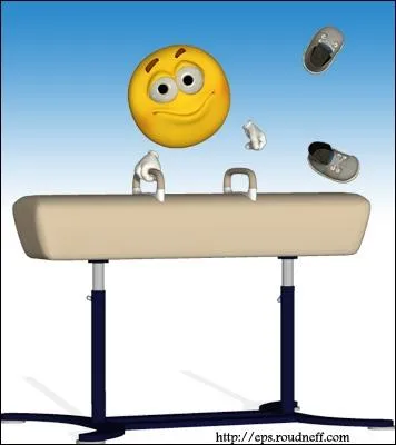 Quel sport fait ce smiley ?