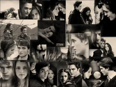 Petit bonus avec un retour en arrire sur la saison1. O Edward et Bella se sont t-ils aperut la premire fois ?
