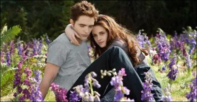 Tout  la fin, Bella et Edward sont dans la prairie, que font-ils ?