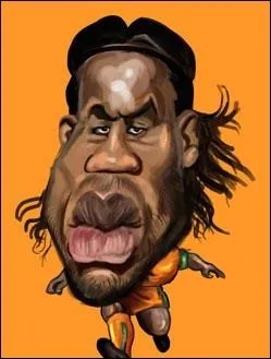 Ancien joueur du mans, de Guingamp puis de Marseille il a remport la ligue des champions en 2012 ...