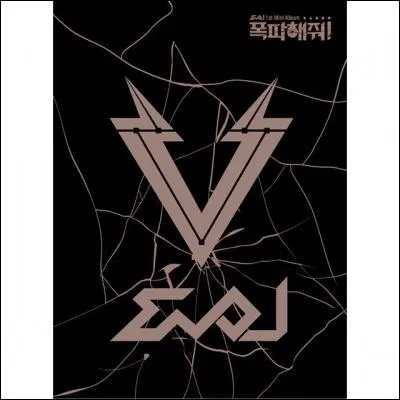 Comment s'appelle leur premier album ?