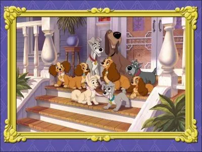 Dans La belle et le clochard, comment s'appellent les deux amis de Lady ?