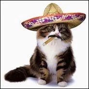 Cuba, le chat et les rvolutionnaires, trouvez la fausse proposition :