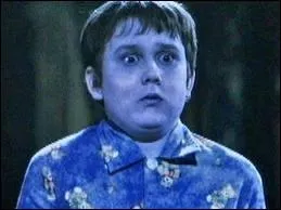 Qui est ce personnage qui tue Nagini ?