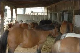 Quel est le nom de cet hbergement ?