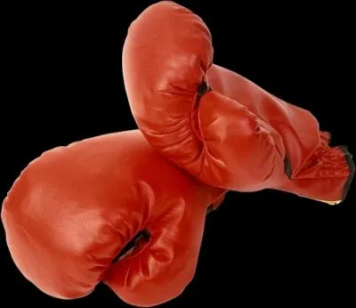 Roi du ring, rebaptis Ali aprs sa conversion  l'islam.