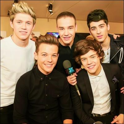 Les One Direction sont 4 Irlandais et 1 Anglais.