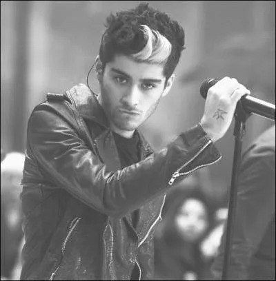 La petite amie de Zayn Malik s'appelle Perrie.