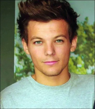 Harry est le meilleur ami de Louis.