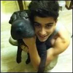 Comment s'appelle le chien de Zayn Malik ?