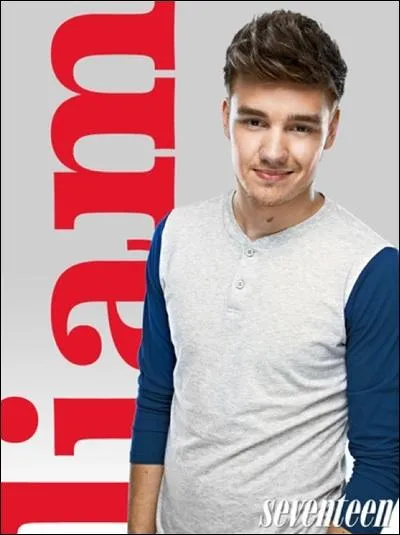 Liam Payne a-t-il une petite amie ? Si oui, comment s'appelle-t-elle ?