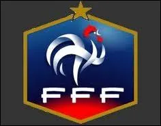 Joueur de foot plus ''taquetique'' que ''tequenique'' ayant évolué au FC Nantes, l'Olympique de Marseille et la Juventus de Turin. Il s'occupe maintenant des Bleus.