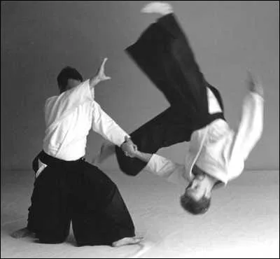 Acteur américain, il est 7ème dan d'aikido, ceinture noire de karaté, de kendo et de judo. Il tient le premier rôle dans ''Nico'' et ''Piège en haute mer'' .