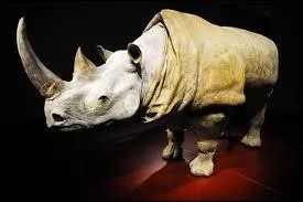  Rhinocros  est une pice caractristique du thtre de l'absurde. Qui en est l'auteur ?