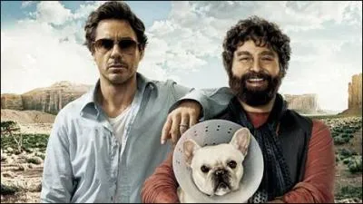 Et enfin qui incarne-t-il dans Date Limite ?