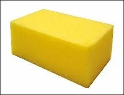 Quelle est cette brosse ?