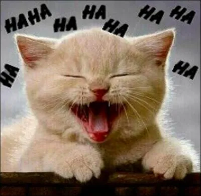 Attention question mine ! Parmi ces quatre comiques, lequel n'a pas particip  l'mission  On n'demande qu' en rire  ?