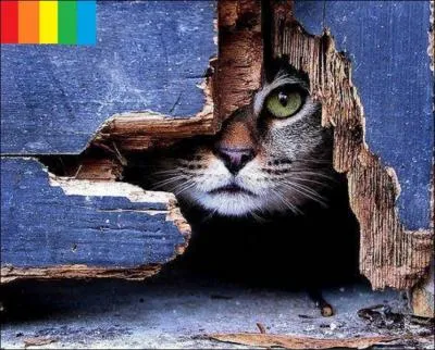 Quelles sont les trois couleurs (dites de synthse additive) utilises pour gnrer les images sur les crans de tlvision ?