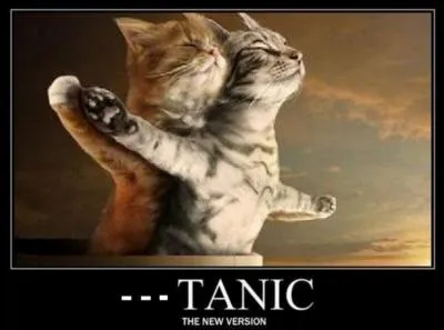 Quel film n'ayant pas pour acteurs Leonardo DiNaufrageo et Kate Windsurf vous inspire cette image ?