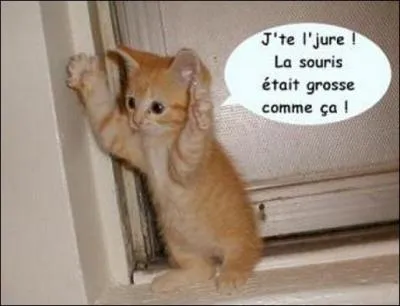 Quelles sont par ordre dcroissant les trois villes franaises les plus peuples ?