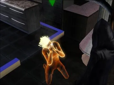 De quelles faons, un Sims peut-il mourir ?