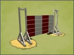 Quel est cet obstacle ?