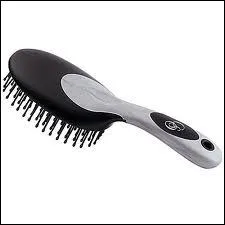 Quelle est cette brosse ?