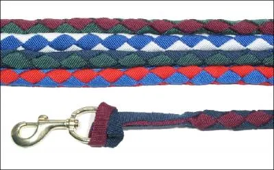 Enfin, comment s'appelle la partie  extrieure  qui permet de tenir et d'attacher le cheval ?