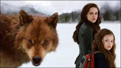 Quels Quileutes vont mourir lors de la bataille face aux Volturi ?