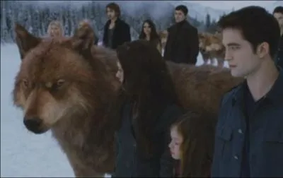 Mais qu'tait la bataille en ralit ?