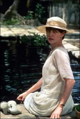 Ce film est tir d'un roman de E M Forster. Son action se passe aux Indes, dans les annes 1920, lors d'un voyage, sur fond de discrimination raciale et lutte indpendantiste...