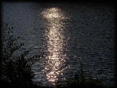 Cette bague sur la (... ) fine semblait sur l'eau l'effet du (... ) de lune,