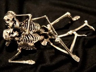 Qui a dit : Les rapports sexuels c'est comme donner un bon coup de pied au derrire de la mort en chantant ?