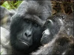  Lorsqu'on vieillit, les pchs deviennent plus subtils. On les commet... plutt que par...  Compltez la pense de cet auteur britannique