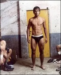  En bout de ligne, la pornographie n'a rien  voir avec le sexe, mais plutt avec la mort En effet ! C'est un homme ou une femme qui a dit cela ?