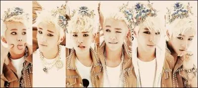 De quel groupe est-il le leader ?