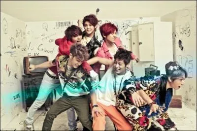 De quel groupe est-il le leader ?