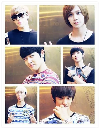 De quel groupe est-il le leader ?