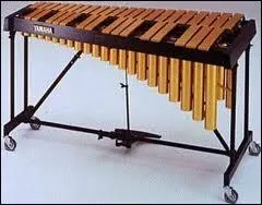 Reconnaissez-vous cet instrument ?