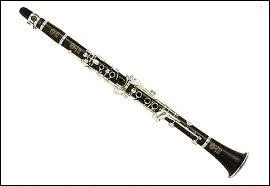 Quel nom donne-t-on  cet instrument ?