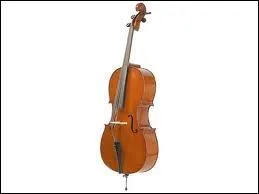 Reconnaissez-vous cet instrument ?