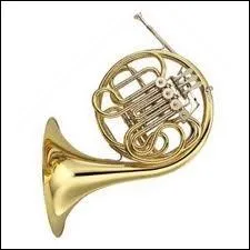 Quel est cet instrument ?