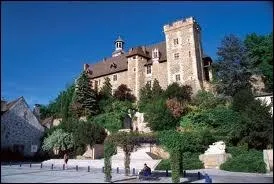 Nous allons nous balader dans les rues de la ville de Montluon. Quel nom donne-t-on  ses habitants ?