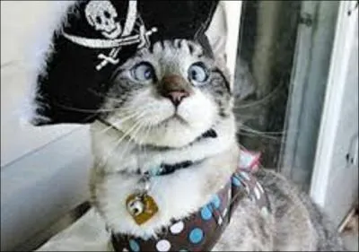 Parmi ces quatre clbres pirates, lequel a rellement exist ?